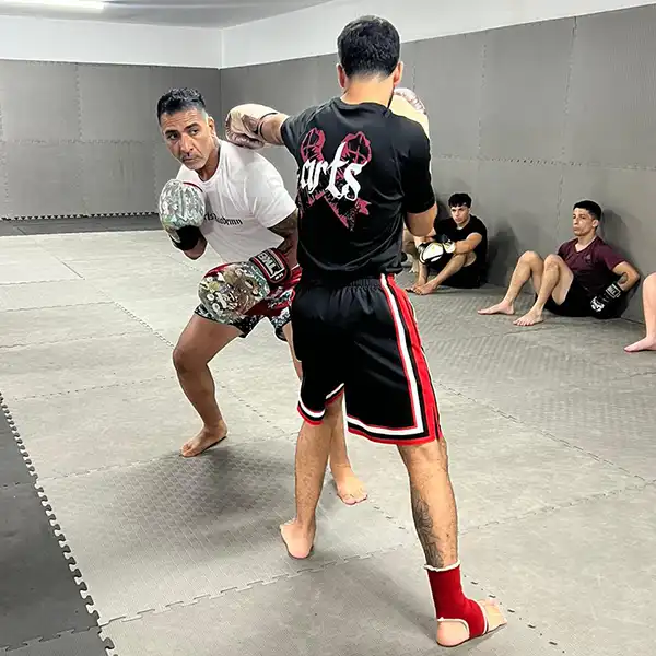 xarts boxing3