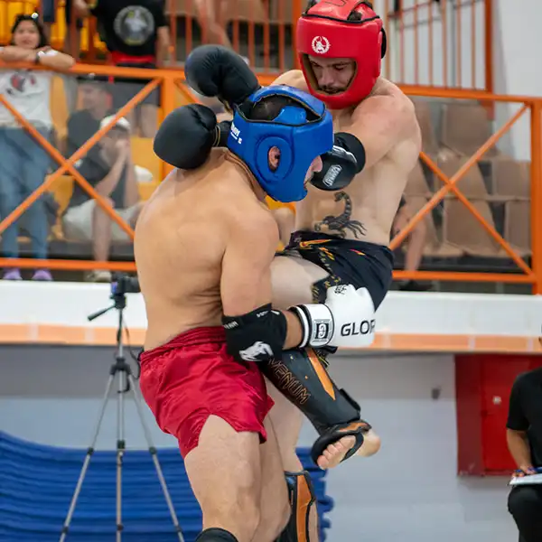 xarts-mma-7